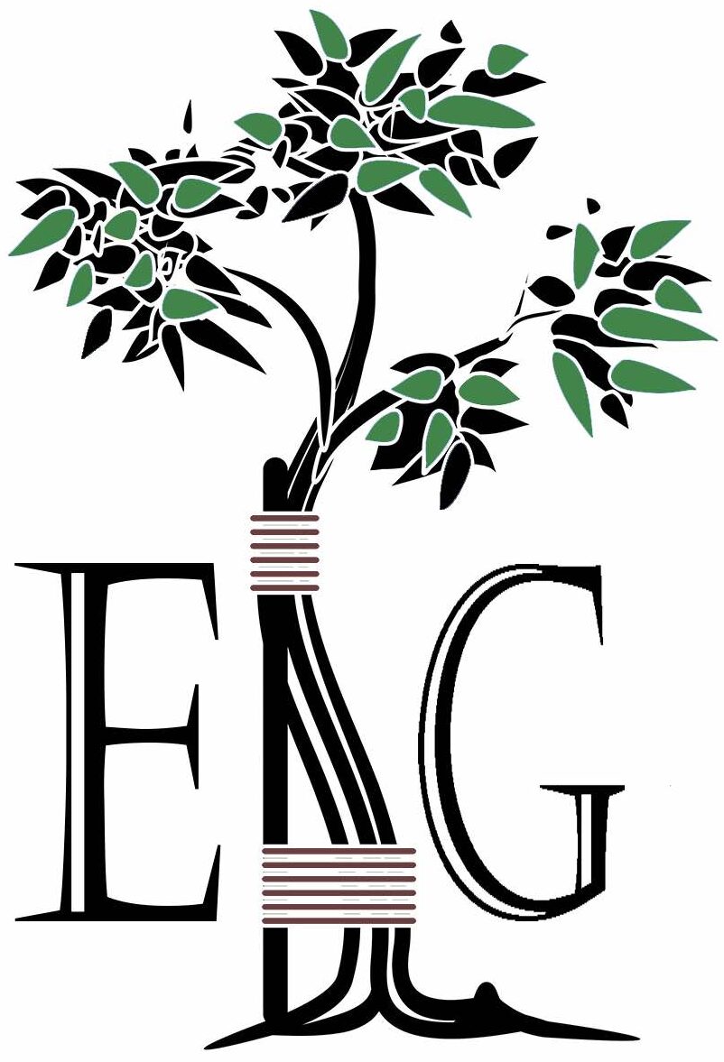 Dr. Eric Giang logo