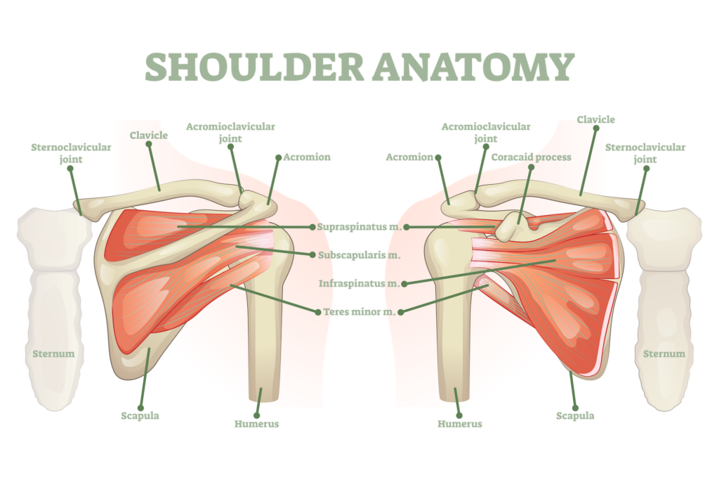 Preventing Shoulder Injuries from Lifting Essential Tips and