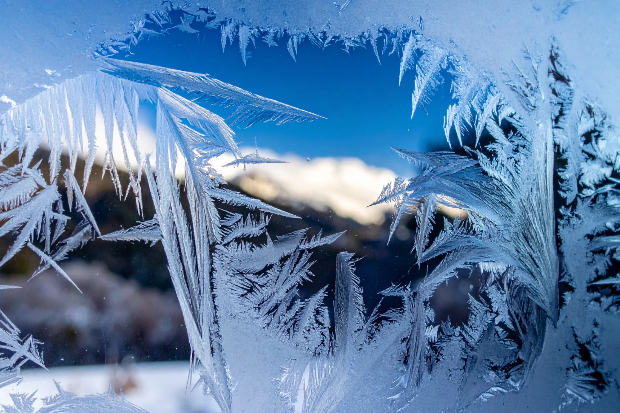 Frozen window