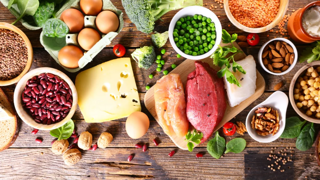 plant-based and animal-based protein sources.
